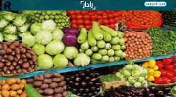ارتفاع أسعار الخضر والفاكهة بأسواق الوادي الجديد يشغل المستهلكين